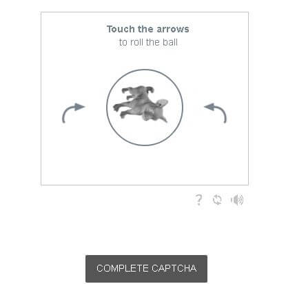 How to Avoid Spam Submissions with an Online Form Builder 5 Funcaptcha 1