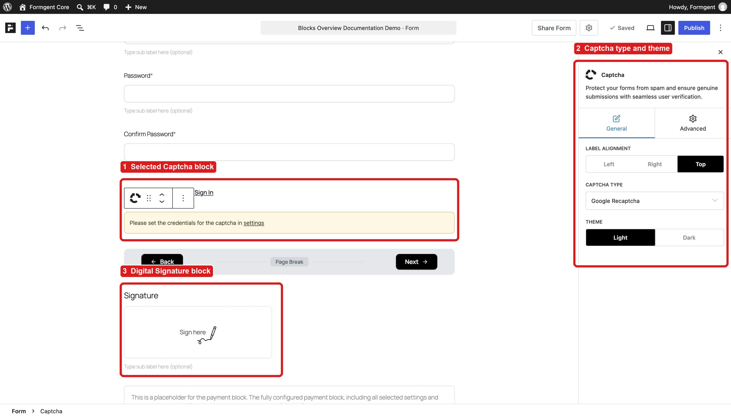 Blocks Overview 12 17 captcha and signature scaled