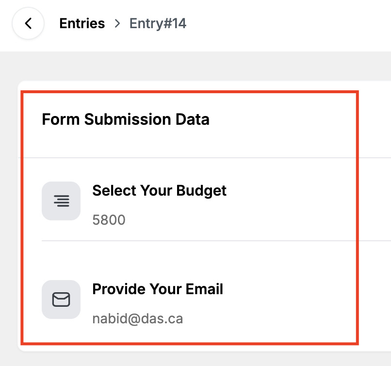 Viewing a Single Entry 2 Form Submission Data
